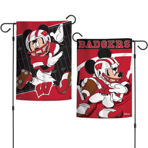 University of Arizona Wildcats NCAA Mickey Mouse House Flag Licensed  28" x 40"